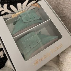 Freshly picked moccasins suede succulent